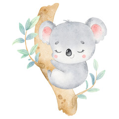 Digital watercolor. Digitally drawn illustration of a cute cartoon koala isolated on a white background. Little cute watercolor animals. © Bonbonny