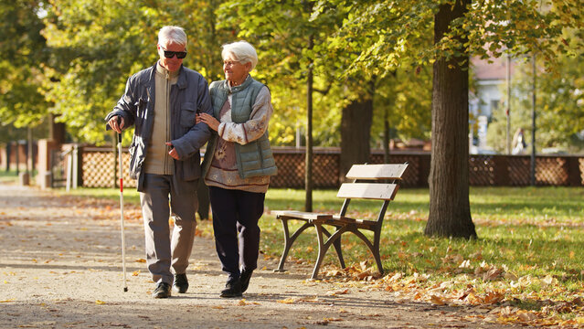 Elderly Caucasian couple having a walk in the park disabled man is in glasses and with a stick disabled people rehabilitation concept full shot selective focus copy space . High quality photo