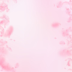 Fototapeta na wymiar Sakura petals falling down. Romantic pink flowers borders. Flying petals on pink square background. Love, romance concept. Posh wedding invitation.