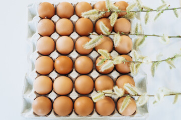 Chicken eggs in an egg carton with willow twig on a white background.
