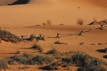 Arizona- Beautiful Red Sand Desert Landscape With Old Split Rail Fence