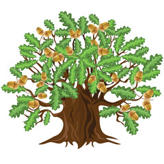 Oak tree with acorns, vector illustration