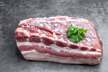 Piece of fat pork ribs raw meat on gray stone background