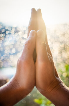 hands in prayer pose namaskar