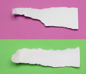 Fototapeta premium ripped paper on white background and have copy space for design in your work.