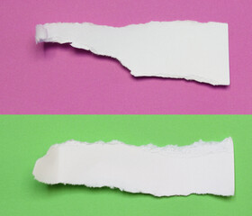 ripped paper on white background and have copy space for design in your work.