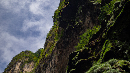 cliff wall with moss and nature