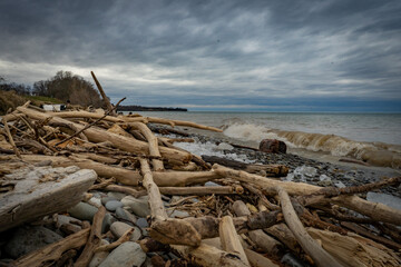 Driftwood