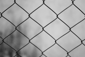 Fototapeta premium fence