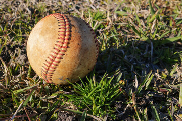 baseball in grass