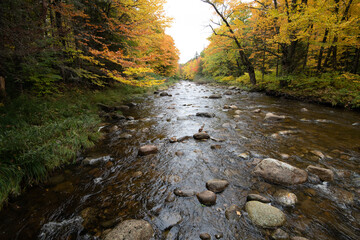 Autumn RIver