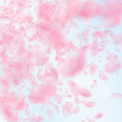 Fototapeta na wymiar Sakura petals falling down. Romantic pink flowers gradient. Flying petals on blue sky square background. Love, romance concept. Awesome wedding invitation.