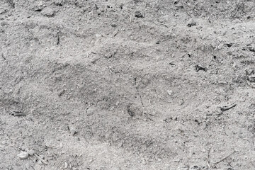 ash and remains