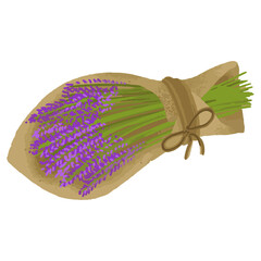 Lavender bouquet vector illustration drawn by hand