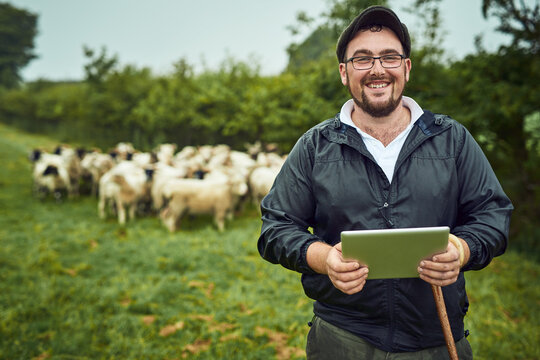 Sometimes I need to check the tablet. Portrait of a cheerful young farmer standing with a digital tablet and cane while a flock of sheep grazes in the background.
