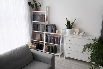 Bookcase with sofa in modern interior of room