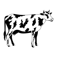 Nobel Cow