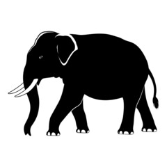 Brave Elephan