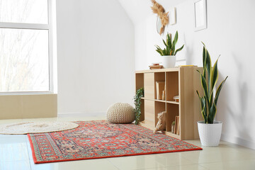 Interior of modern living room with shelving unit, houseplants and carpets