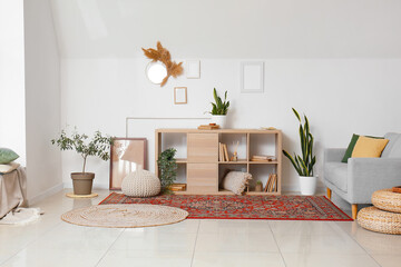 Interior of modern living room with shelving unit, houseplants and carpets