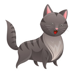 Curious Cat