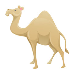 Attractive Camel
