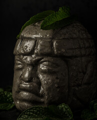 stone monuments such as the colossal heads are the most recognizable feature of Olmec Mexican culture