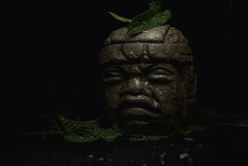 stone monuments such as the colossal heads are the most recognizable feature of Olmec Mexican...