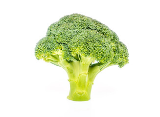 single Broccoli with white background