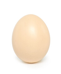 single egg standing on white background