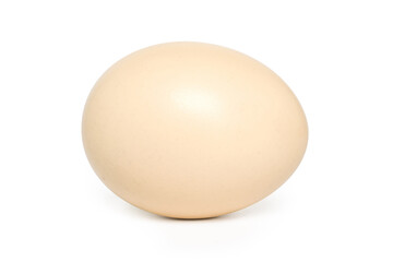 single egg with shadow