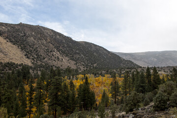 Fall in the Eastern Sierra
