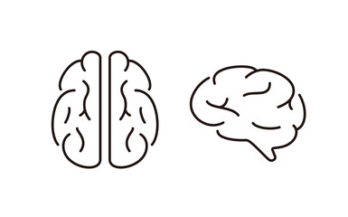 Human organ brain flat icon, vector illustration