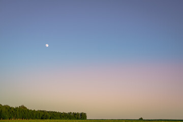 Moon, forest and field at sunset.
