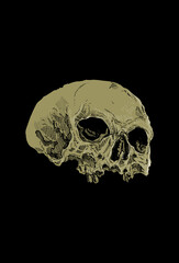 Dark art Skull Head human Illustration Black art