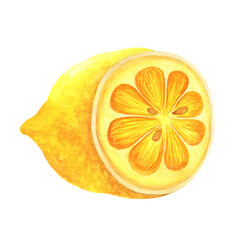 Half of lemon watercolor illustration. Hand drawn clipart isolated on white background. Piece of fresh juicy fruit. Exotic citrus with ripe sour pulp, zest, seeds. Food sketch