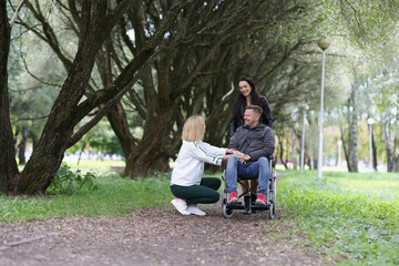 Friends of woman and man in wheelchair communicate in park