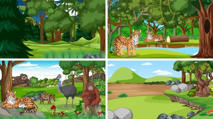 Different forest scenes with wild animals © blueringmedia