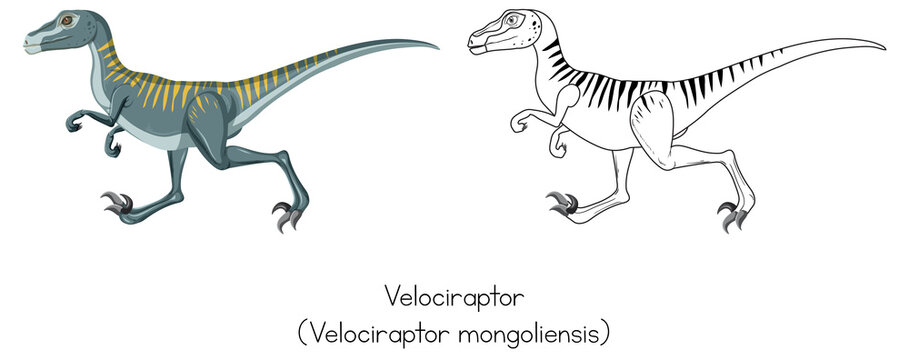 Dinosaur sketching of velociraptor