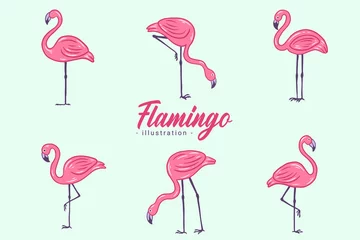 Glasschilderij Flamingo Set van schattige Flamingo roze vogel flamingo& 39 s esthetische tropische exotische Hand getrokken vlakke stijl collectie