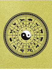 사주팔자 띠별 운세 팔궤 토정비결 명리학 자미두수