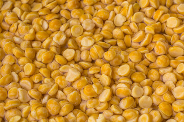 split bengal gram soaked in water overnight to cook faster, to make dhal healthy, save time and energy, closeup view taken in shallow depth of field, macro