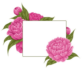 Vector card with colorful illustration of peony and copy space. Natural template postcard with cartoon floral bouquet