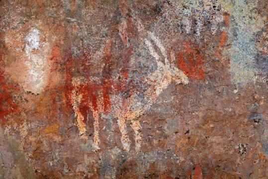 Bushmen (san) rock painting of an antelope, Northern Cape, South Africa.