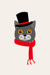 gentlemen cat wear hat and scarf, Fashion portrait of cat