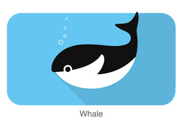 whale under the water, vector