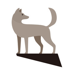 dog look back, raising its tail