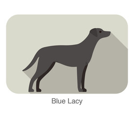 Blue lacy breed dog standing on the ground, side, dog cartoon image series