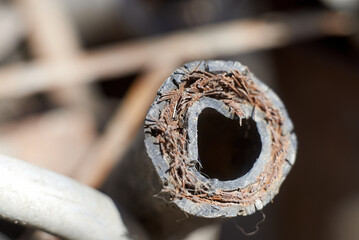Photo of cut hose with metal braid