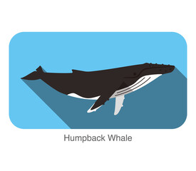 Humpback Whales swimming in the sea, animal flat icon